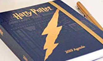 diario de harry potter